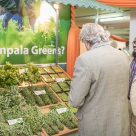 vegetable exporters in kenya