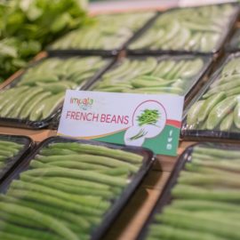Iftex Expo 2018 Green Fresh French Beans
