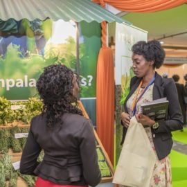 Iftex Expo 2018 meet up Impala Greens