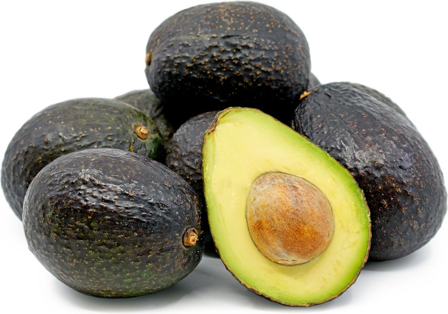 Hass Avocado Exporters & Producers