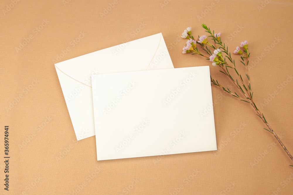 Value The Small Packages from Your Business with Impala’s Custom Printed Envelopes